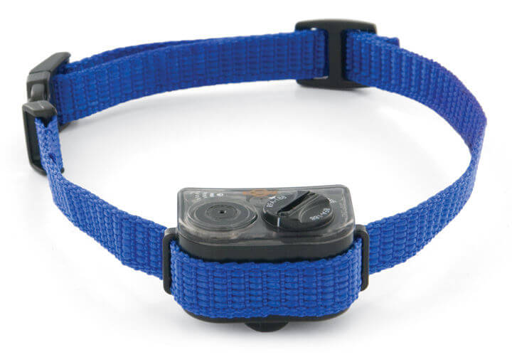 PetSafe Elite Little Dog Spray Bark Collar for small dogs.