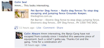 Dog Fence Reviews