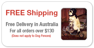 Free Shipping