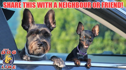 Share these 4 easy steps to stop your neighbour’s dog from nuisance barking