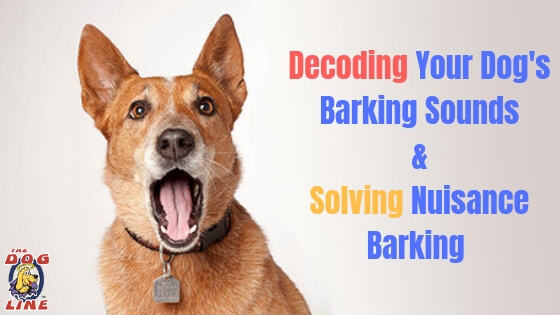 Decoding your barking dog