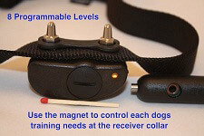 Electric dog fence collars offer more levels and features for precise training and dog containment for more determined or small dog. 