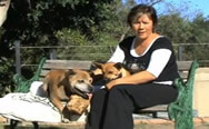 Lisa tells her story in this dog fence reviews and testimonial . 