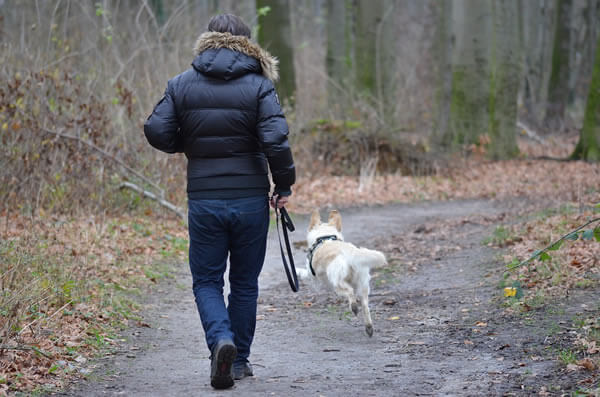 Man recalling a dog who ran off-leash