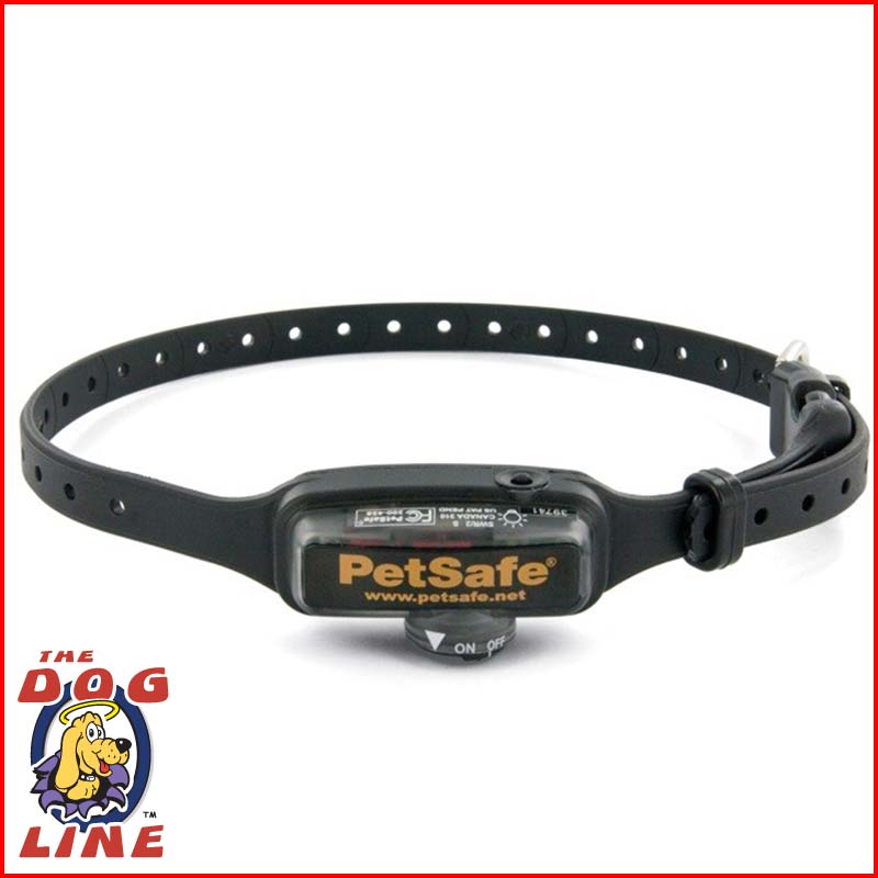 electric fence for small dogs electronic collars electric collar thedogline autos post electric fence for small dogs electronic collars electric collar thedogline autos post