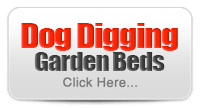 Learn More - Dog Digging Garden beds