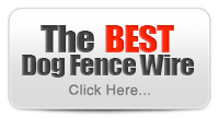 The Best Dog Fence Wire