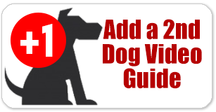 Add a Second Dog Video Guide