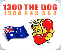 Dog Collars To Stop Escaping Australia Dog Collars To Stop Escaping Australia