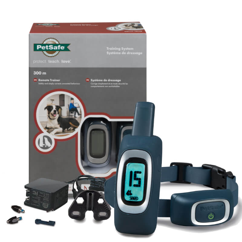 start your dogâs training with remote dog trainers