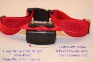 Dog collar