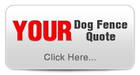 Dog Fence Quote