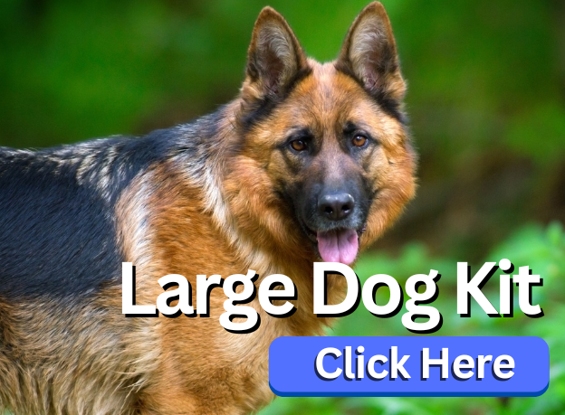 Invisible Dog Fence