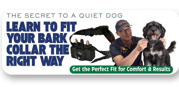 Vibration Bark Collar
