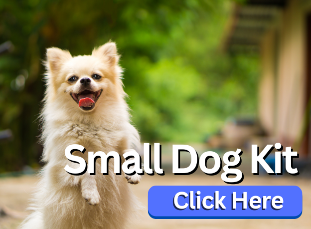 Dog Line for Small Dogs