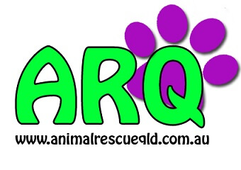 animal rescue qld