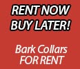 Dog Bark Collars for Rent