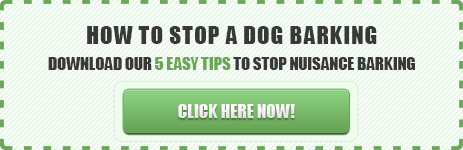 stop a dog barking
