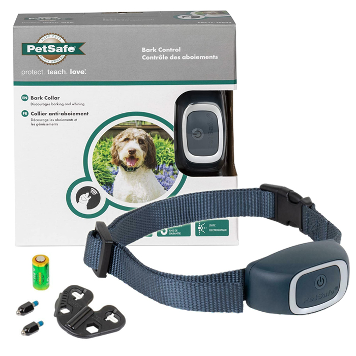 can you feed your dog raw mince