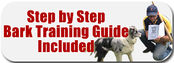 Bark Collar Training Guide