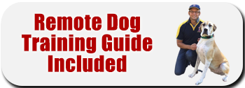 Bark Collar Training Guide