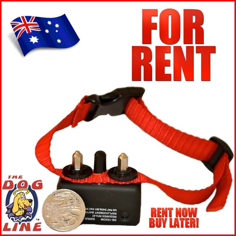 bark collar rental