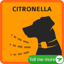 More Citronella Spray Bark Collars