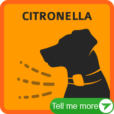 Citronella dog hot sale collar kmart