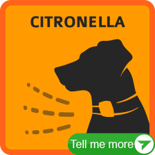 More Citronella Spray Bark Collars