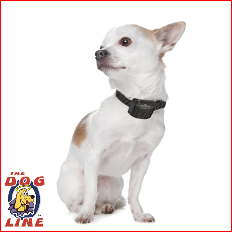 small barking eyenimal small bark collar small barking eyenimal small bark collar