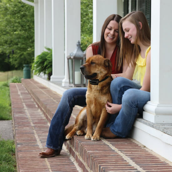 Petsafe Big Dog Rechargeable Bark Control Collar