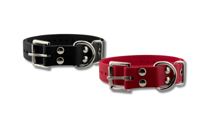 Educator Remote Quick Snap Bungee Strap Collar - 1 inch
