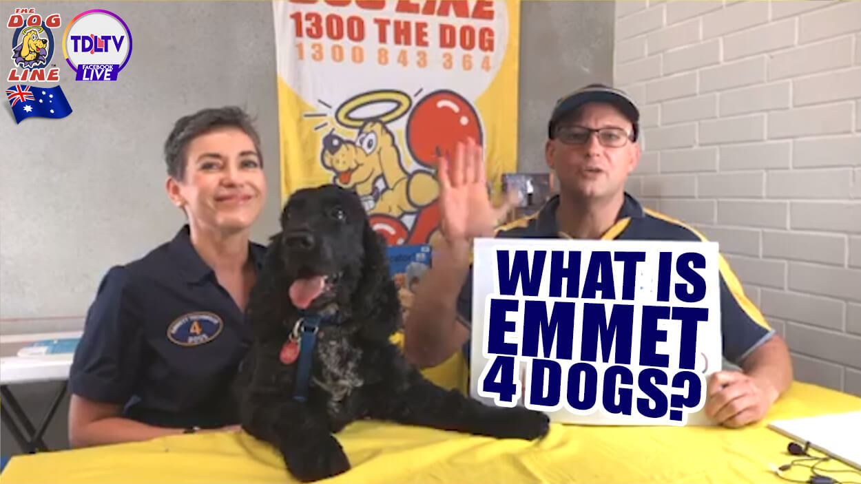 Top 5 Benefits of EMMETT 4 Dogs: Canine Massage Therapy