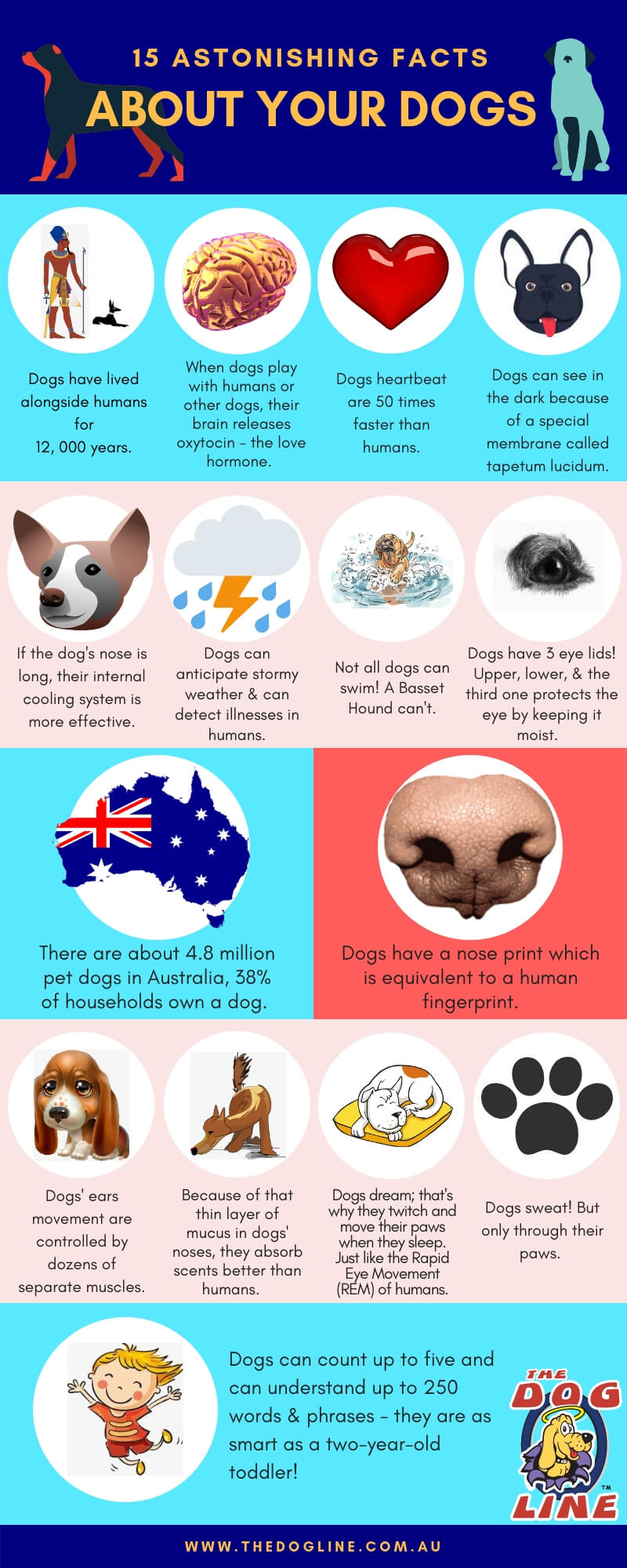 15 Awesome Dog Facts That Will Surprise You