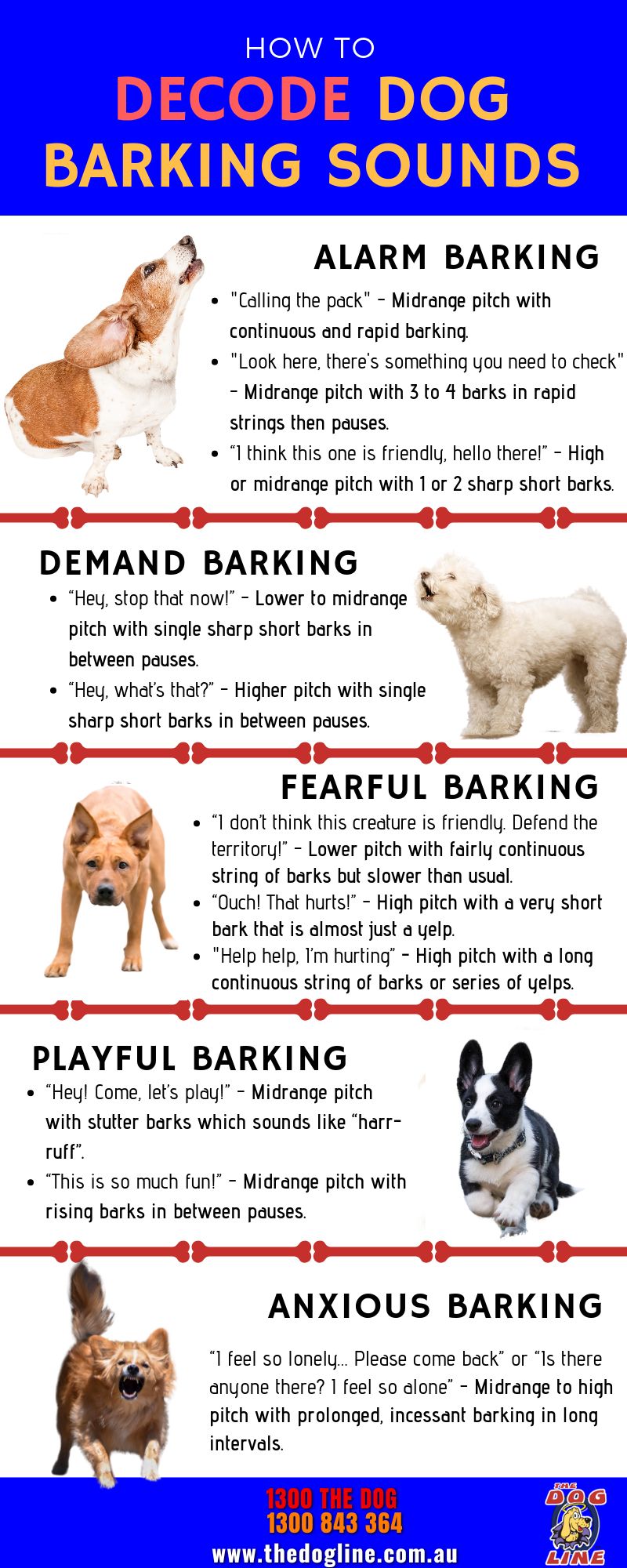 Infographic - how to decode dog barking sounds