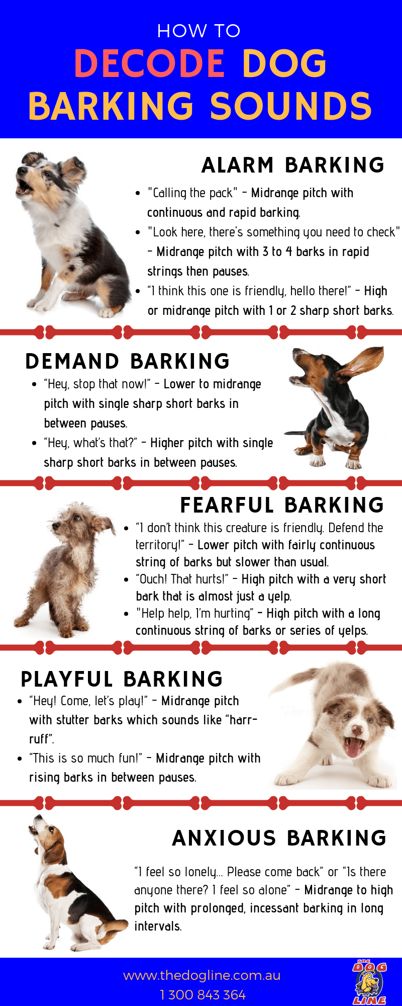 Infographic - how to decode dog barking sounds