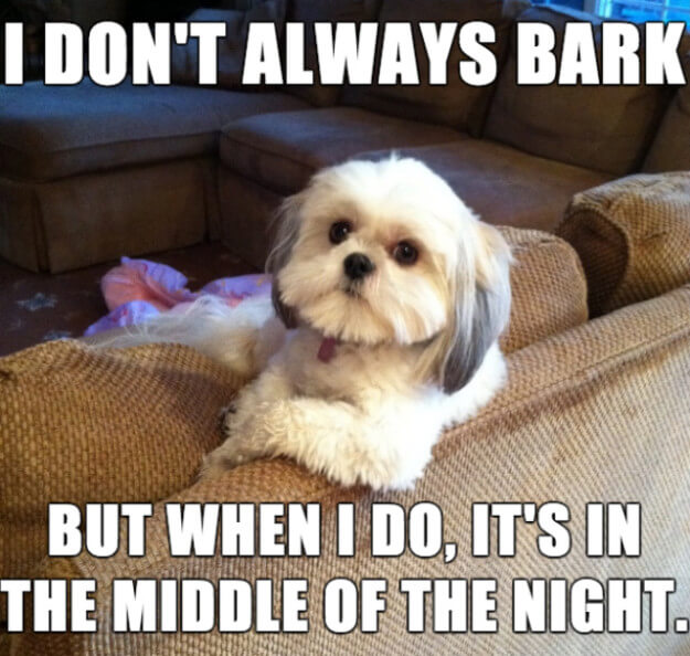 nuisance barking meme