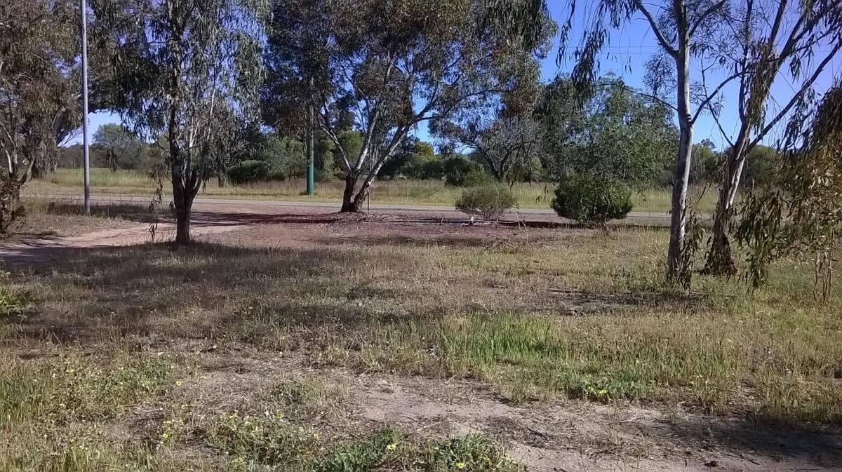 Sharleen's Fenceless Front Yard