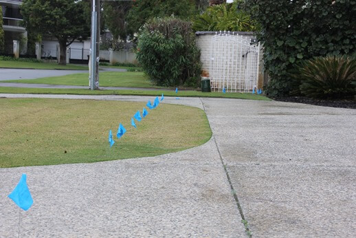 training flags for dog fences