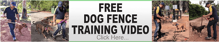 FREE Dog Fence Training VIDEOS - Click Here
