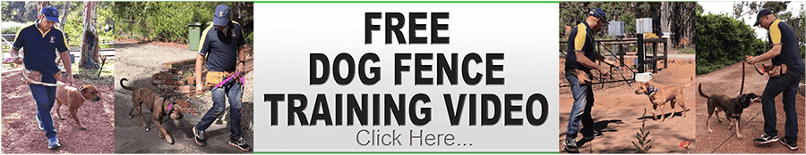 Free Dog Fence Training Video 