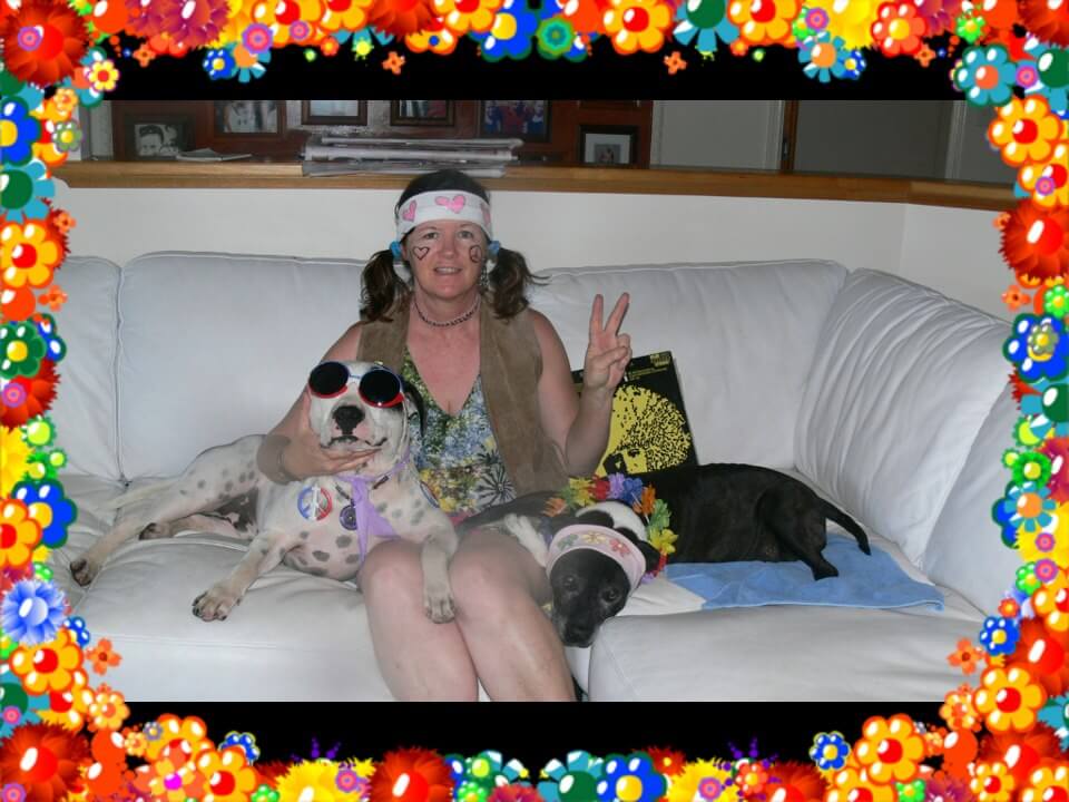 Winners - Holiday Dog hamper