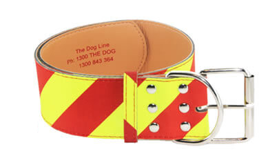Dangerous Dog Collar for Large Dogs