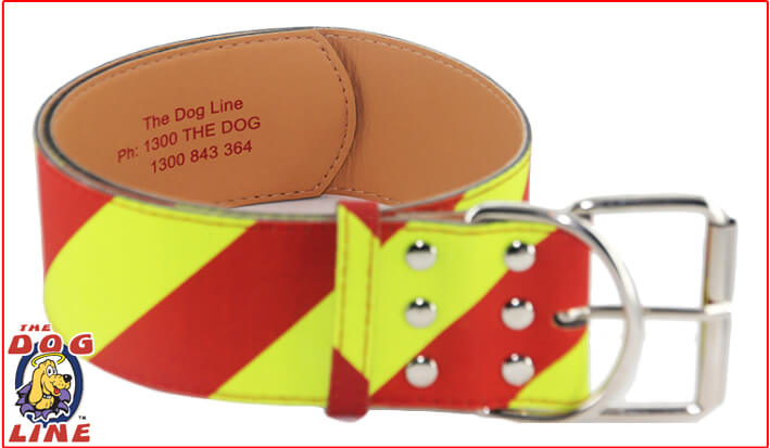 Dangerous Dog Collar VIC Victoria