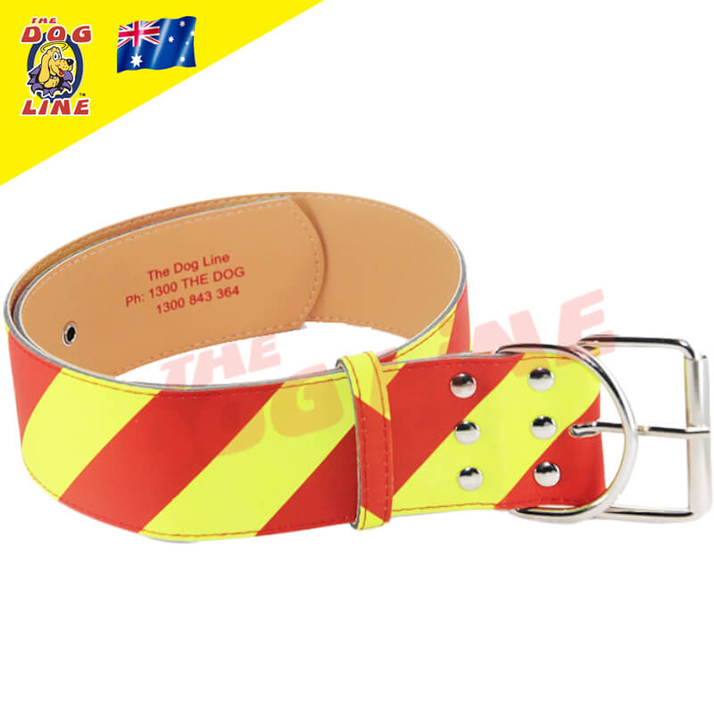 The NEW Dangerous Dog Collar in Extra Large size, designed for neck sizes 56cm to 77cm. This high-visibility collar features bold yellow and red diagonal stripes, six stainless steel button studs, and a durable belt buckle for a secure fit. Made with Tech Coat for enhanced strength and durability. In the upper left, The Dog Line logo and the Australian flag indicate that the collar is proudly made in Australia