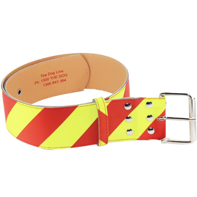 Dangerous Dog Collar - Medium - 40mm Wide