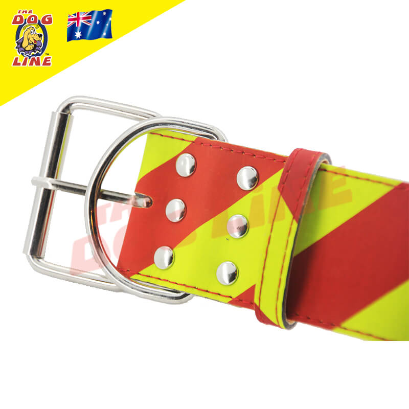 Dangerous Dog Collar for Extra Large Dogs Dangerous Dogs Australia