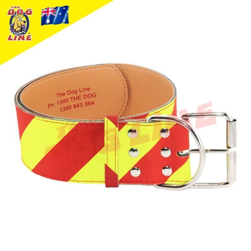 The NEW Dangerous Dog Collar with Tech Coat for enhanced durability. This high-visibility collar features bold diagonal yellow and red stripes, six stainless steel button studs, and a sturdy belt buckle for secure and long-lasting use. In the upper left, the Dog Line logo and the Australian flag signify that the collar is proudly made in Australia.