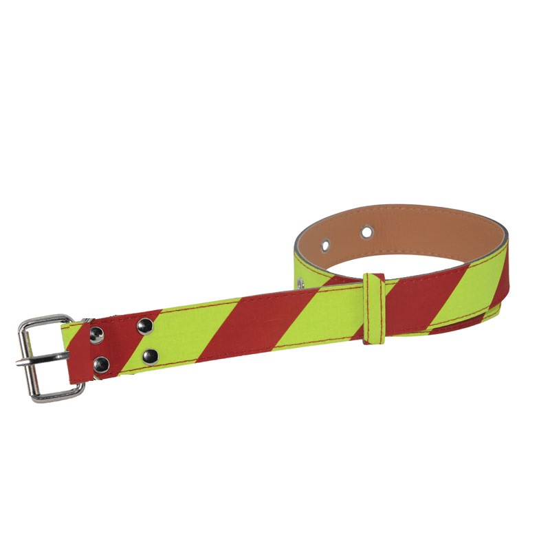 Dangerous Dog Collar - Extra Small