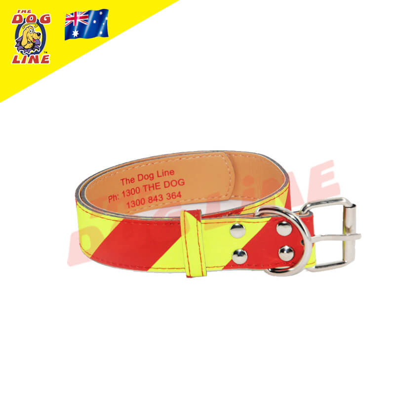 The NEW Small Dangerous Dog Collar, designed for neck sizes 26cm to 38cm. This durable collar features bright yellow and red diagonal stripes for high visibility, six stainless steel button studs, and a strong belt buckle for a secure fit. Made with Tech Coat for extra strength and long-lasting durability. In the upper left, The Dog Line logo and the Australian flag indicate that it is proudly made in Australia.